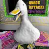 Papa Tchoup - Quack Attack! - Single
